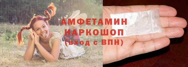 сатива Бронницы