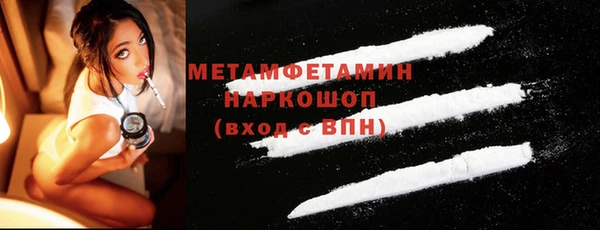 шишки Верея