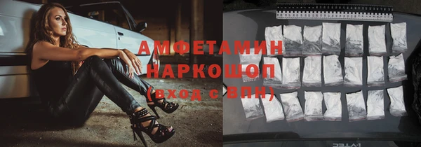 сатива Бронницы