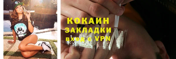 шишки Верея