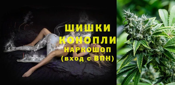 шишки Верея
