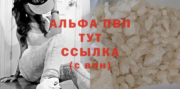 сатива Бронницы
