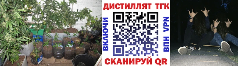 Дистиллят ТГК гашишное масло  Купить где  Мышкин 